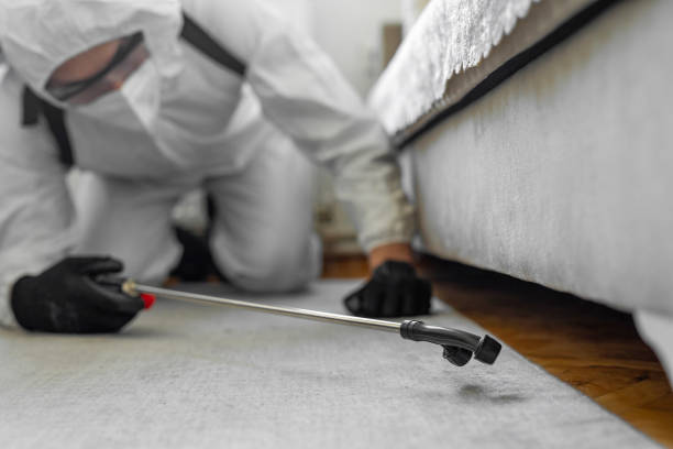 Professional Pest Control technician working in Sutter County County, CA